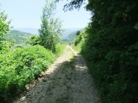 DSCF1445