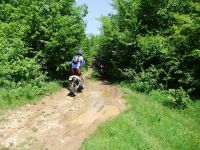 DSCF1447