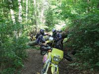 DSCF1457