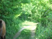 DSCF1473
